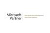Microsoft Gold 