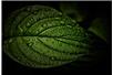 Fot. Pixabay CC0