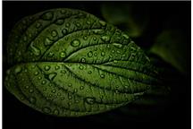 Fot. Pixabay CC0 Fot. Pixabay CC0