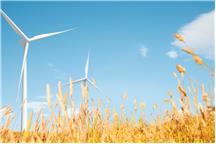 Wybrane parametry pracy turbiny wiatrowej - analiza