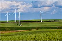 PGE po II kwartale 2025. Co mówią liczby i gdzie zyski dowożą transformatory EcoDesign Tier 2