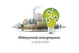 Efektywność energetyczna w przemyśle