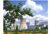 Francuzi czerpią prawie 70% energii z siłowni atomowych