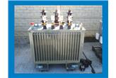 Transformator olejowy o mocy 250kVA 15,75/0,42kV Transformator olejowy o mocy 250kVA 15,75/0,42kV